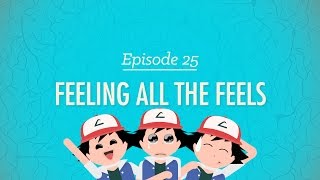 Feeling All the Feels Crash Course Psychology 25 [upl. by Newhall]