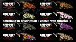 Get ALL New BO2 DLC Camos Free TutorialDownload [upl. by Kcirdnekal]