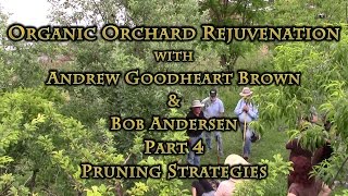 Organic Orchard Rejuvenation Part 4 Pruning Strategies [upl. by Ayekahs717]