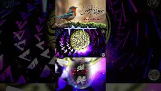 Surah Rahman Full  سورۃ رحمٰن 55  Beautiful Recitation  shorts rahman [upl. by Massie]