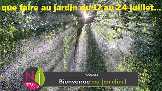 QUE FAIRE DANS VOTRE JARDIN DU 17 AU 24 JUILLET  LES BONS CONSEILS PRATIQUES DE PATRICK ET ROLAND [upl. by Atillertse]