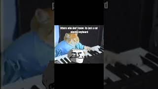 RIP Keyboard Cat 🐈 shorts edit keyboardcat rip [upl. by Evad]