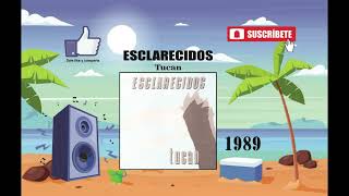 Esclarecidos  Tucan Radio Version [upl. by Bensen124]