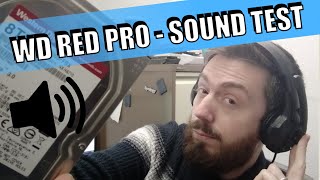 WD Red Pro HDD Noise Level Test [upl. by Ann-Marie]