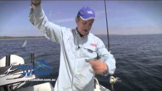 How to Catching baitfish on Sabiki rigs [upl. by Anuahsal753]