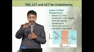 TNZ LCT and UCT for Endotherms  Animal Physiology and Behavior Theory  ZOO502TTopic224 [upl. by Ened27]