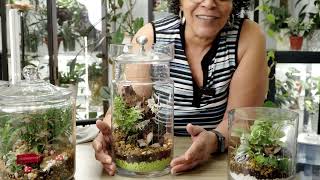 DIY Terrariums are they worth the effort [upl. by Ayna]