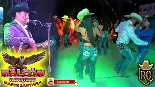 Las Cumbias de Halcon huasteco [upl. by Reggis706]