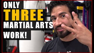 3 Best Martial Arts Styles  No Its Not Yours [upl. by Aztiraj]