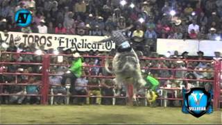 GALLITO DE MORELIA VS LLUVIA DE ESTRELLAS D LA MISION [upl. by Alberto]