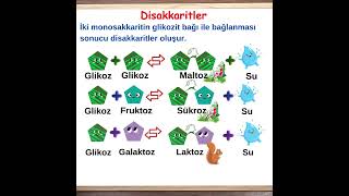 Ritmi Yükselten Bilgiler7 Disakkaritler [upl. by Dnomzed212]