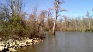 Mill Lake Near Knobel Arkansas [upl. by Bethel]