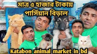 Katabon animal market in bangladeshGerman Shepherd Lhasa Apso Persian Cat Dog and cat price 2023 [upl. by Nataniel]