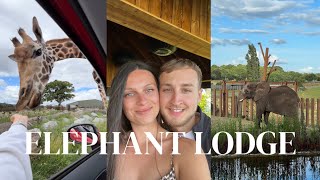 24HRS STAYING IN AN ELEPHANT LODGE🐘  West Midlands Safari Park Elephant Lodge [upl. by Barabas]