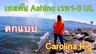 เทสคัน Ashino เวท 1 3 ตก CarolinaNengsportHuaHin CarolilaRig Ajing อาจิ ตกปลาชายฝั่ง Fishing [upl. by Derwon]