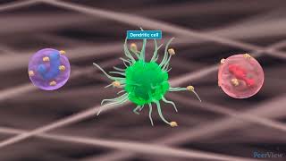 The Role of Epithelial Cytokines in CRSwNP [upl. by Notxed]