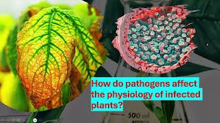 How do the pathogens affect physiology of infected plants [upl. by Ylrad]