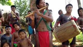 Embera Puru native Indian tribe welcome [upl. by Enimrac722]