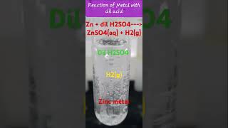 Reaction of zinc with dil H2SO4 single Displacement Reaction Redox Reaction Class10 experiment [upl. by Merton]