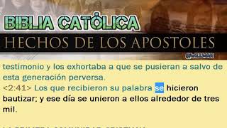 51 Libro de Hechos de los Apóstoles Completo Biblia Católica [upl. by Bellis]