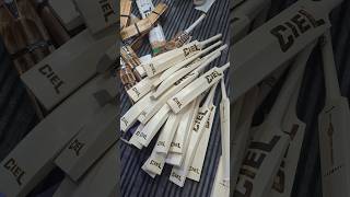 Best Cricket Bat For Leather Ball  Hard Pressed For Better Punch  Best Cricket Bat Under Rs 5000 [upl. by Stephenson139]