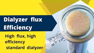 Dialyzers High Flux High Efficiency and Standard [upl. by Anelrats]