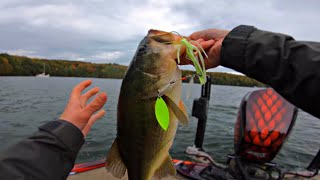 La pêche au Spinnerbait  Lac Memphrémagog [upl. by Ebehp]