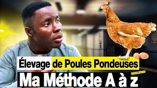 Aviculture  Élevage des poules pondeuses En Afrique  MA MÉTHODE A à Z [upl. by Salome]