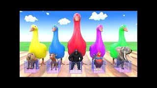 Long Slide Game With Elephant Gorilla Buffalo Hippopotamus Tiger  3d Animal Game  Funny 3d Animals [upl. by Anigger]