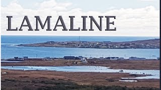 Jason R Martin LAMALINE Newfie Music NL Music Newfoundland Music Country Music Viral True Story Song [upl. by Gloriane]