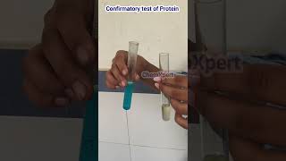 Confirmatory Test For ProteinBiuret Test  Class 12 Food Analysis [upl. by Nyltak]