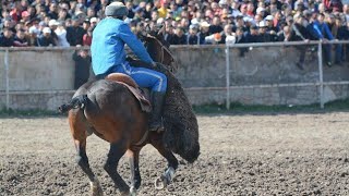 Тумандын куйругун туйуу Нуру Койчукеев [upl. by Col]