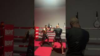 Round 2 with albino gorilla Conor on the pads [upl. by Aneladdam284]