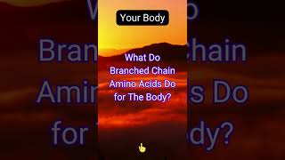 What Do BranchedChain Amino Acids Do for The Body [upl. by Popper]