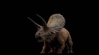 INSTINCTION  Torosaurus Reveal [upl. by Hamforrd]