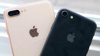 iPhone 8 Vs iPhone 8 In 2020 Comparison [upl. by Lledal]