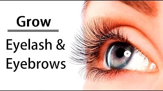 How to Grow Eyebrows amp Eyelashes   Naturally  Longer Thicker amp Faster [upl. by Oleg]