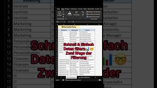 Schnell und einfach Daten filtern in Excel 📊🤓 excel exceltips short viral [upl. by Eyahs]