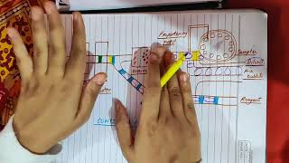 Continuous flow analyzer explained  Automation in Biochemistry  Principle  Diagram [upl. by Heintz]