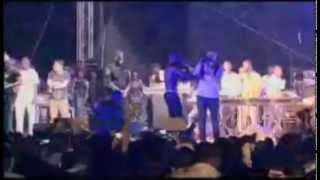 Tinie Tempah Performing quotPass Outquot  Koko Concert 2012 [upl. by Atileda]