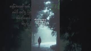 මසා නිම කල හදවතක් 🫀♥️masanimakalaHadawathak Gangadara lyrics sinhala fypシ [upl. by Kelwunn584]