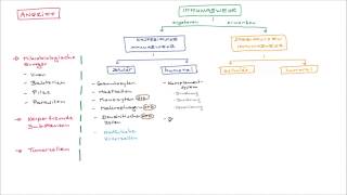 3401Immunsystem  Überblick Immunabwehr [upl. by Jessa]