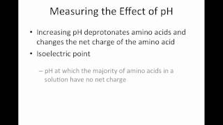 Amino Acid Isoelectric Point [upl. by Asabi]