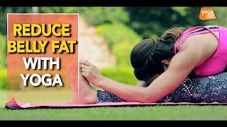 Yoga To Reduce Belly Fat  Seated Forward Bend  Yoga Tak [upl. by Anayi159]