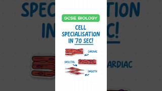 GCSE Biology  Cell Specialisation in 60 Seconds 🌱🧬 [upl. by Abdella183]