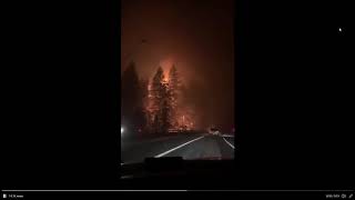 Raw video Tree on fire off Highway 224 in Estacada [upl. by Imekawulo]