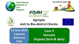 Vannulo organic farm amp dairy  Video Case 3 AgriSpin crossvisit in Cilento June 2016 [upl. by Nnalatsyrc820]