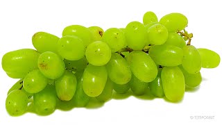 Grapes [upl. by Jules]