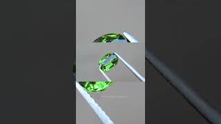 Introducing our Natural Tsavorite Garnet [upl. by Eladal880]