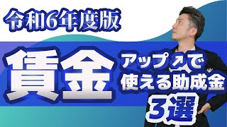 【賃金】賃金アップで使える助成金３選！令和6年度版｜業務改善助成金、キャリアップ助成金（賃金規定等改定コース）、働き方改革推進支援助成金（労働時間短縮・年休促進支援コース） [upl. by Noyad]